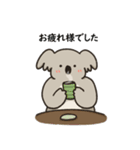 コアラ 日常（個別スタンプ：25）