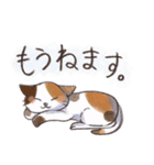 動物系あいさつ（個別スタンプ：2）