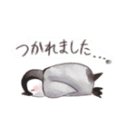 動物系あいさつ（個別スタンプ：16）