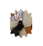 黒柴ちゃんの日常（個別スタンプ：2）