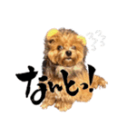 コミカル天使♡おむぎたん♡（個別スタンプ：10）