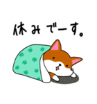 柴犬そらこ2（個別スタンプ：4）