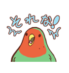 主張の激しいコザクラインコ（個別スタンプ：6）