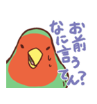 主張の激しいコザクラインコ（個別スタンプ：14）