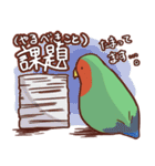 主張の激しいコザクラインコ（個別スタンプ：15）