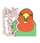 主張の激しいコザクラインコ（個別スタンプ：17）