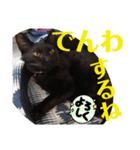猫愛スタンプ ❹（個別スタンプ：8）