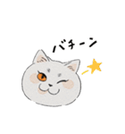 まんまる灰サビネコどんちゃんの毎日（個別スタンプ：3）