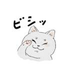 まんまる灰サビネコどんちゃんの毎日（個別スタンプ：6）