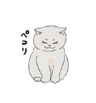 まんまる灰サビネコどんちゃんの毎日（個別スタンプ：7）