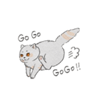 まんまる灰サビネコどんちゃんの毎日（個別スタンプ：11）