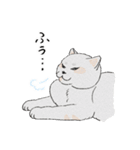 まんまる灰サビネコどんちゃんの毎日（個別スタンプ：15）
