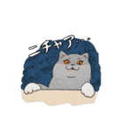 まんまる灰サビネコどんちゃんの毎日（個別スタンプ：16）