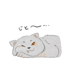 まんまる灰サビネコどんちゃんの毎日（個別スタンプ：17）