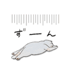 まんまる灰サビネコどんちゃんの毎日（個別スタンプ：20）