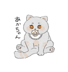 まんまる灰サビネコどんちゃんの毎日（個別スタンプ：21）