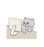 まんまる灰サビネコどんちゃんの毎日（個別スタンプ：22）