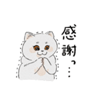 まんまる灰サビネコどんちゃんの毎日（個別スタンプ：25）