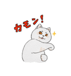 まんまる灰サビネコどんちゃんの毎日（個別スタンプ：27）