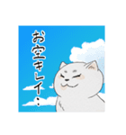 まんまる灰サビネコどんちゃんの毎日（個別スタンプ：40）