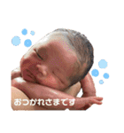 なかむらきょうだいスタンプ1（個別スタンプ：19）