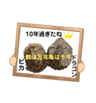 チャトラくん生後6週目～先住猫色々（個別スタンプ：24）