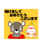 犬好きなあなたへ ちわわ 冬 年賀挨拶等も（個別スタンプ：34）