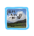 泉家 自然背景スタンプ（個別スタンプ：2）