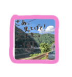 泉家 自然背景スタンプ（個別スタンプ：4）