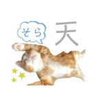 ウミコム日記フォロワー様スタンプ②（個別スタンプ：3）