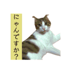 ウミコム日記フォロワー様スタンプ②（個別スタンプ：6）