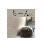 ウミコム日記フォロワー様スタンプ②（個別スタンプ：7）