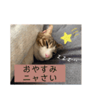ウミコム日記フォロワー様スタンプ②（個別スタンプ：8）