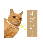 ウミコム日記フォロワー様スタンプ②（個別スタンプ：15）