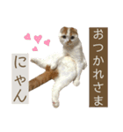 ウミコム日記フォロワー様スタンプ②（個別スタンプ：17）