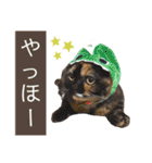 ウミコム日記フォロワー様スタンプ②（個別スタンプ：20）