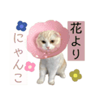 ウミコム日記フォロワー様スタンプ②（個別スタンプ：21）