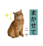 ウミコム日記フォロワー様スタンプ②（個別スタンプ：26）