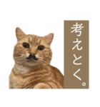 ウミコム日記フォロワー様スタンプ②（個別スタンプ：28）