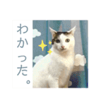 ウミコム日記フォロワー様スタンプ②（個別スタンプ：29）