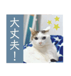 ウミコム日記フォロワー様スタンプ②（個別スタンプ：31）