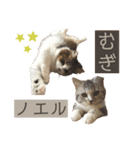 ウミコム日記フォロワー様スタンプ②（個別スタンプ：33）