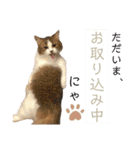 ウミコム日記フォロワー様スタンプ②（個別スタンプ：34）