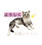 ウミコム日記フォロワー様スタンプ②（個別スタンプ：36）