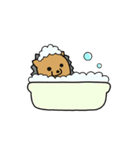 まいにちはりねずみくん（個別スタンプ：19）
