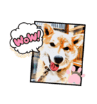 柴犬ころ(日常編2)（個別スタンプ：7）