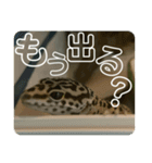 らいちゃんすいちゃん（個別スタンプ：10）