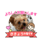 ききょう＆ポッケNO.5（個別スタンプ：5）