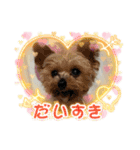 ききょう＆ポッケNO.5（個別スタンプ：7）