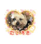 ききょう＆ポッケNO.5（個別スタンプ：13）